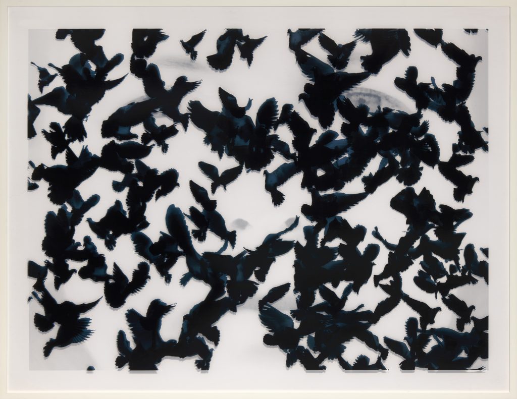 Agnes Guillaume